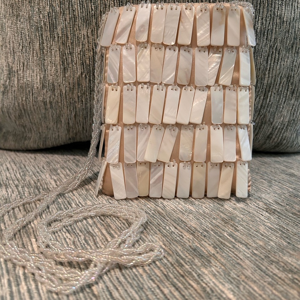 Elegant Cream Beaded Women's Bag